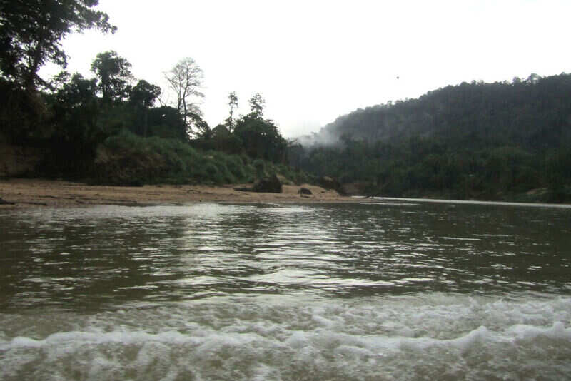 Rapids shooting