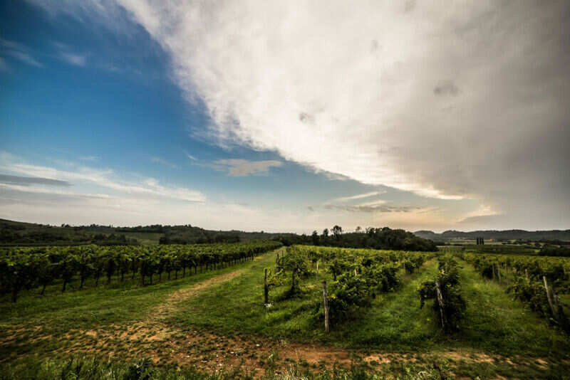 chianti rome