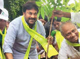 Celebs @ Tree plantation drive