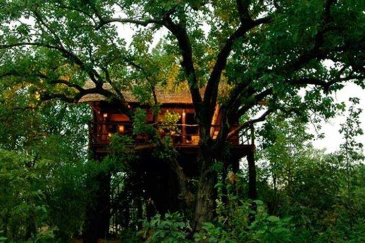 Tree House Hotels In India Tree House Resorts In India