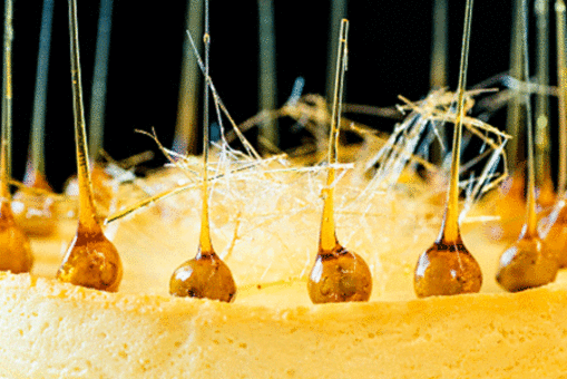 Baked Mango Cheesecake