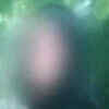 Article image for: CBI submits <i class="tbold">final report</i> in Shopian case to J&K HC