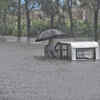 Article image for: Hundreds killed in China floods