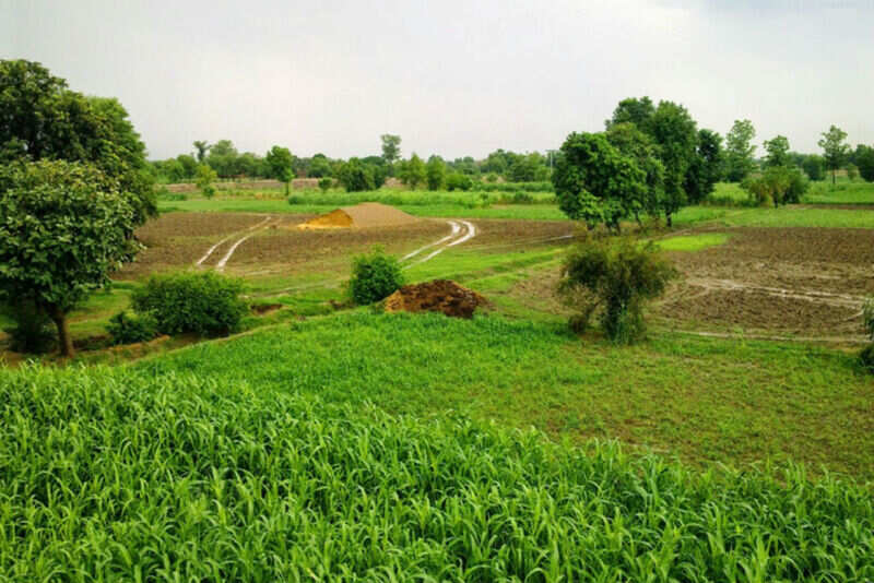 Pind