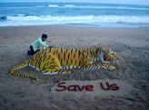 World Tiger Day celebration