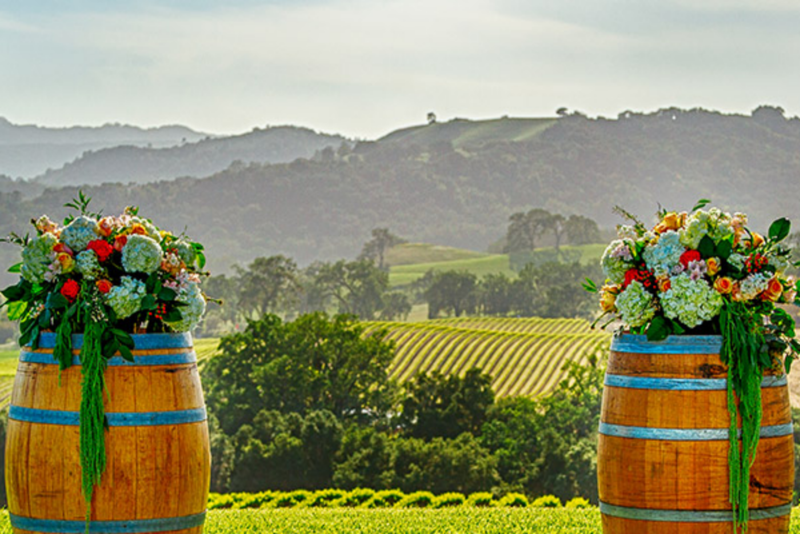 Soma Vine village