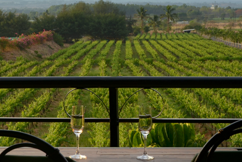 Sula Vineyards