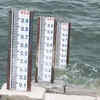 Article image for: High alert issued in Aurangabad after release of flood water
