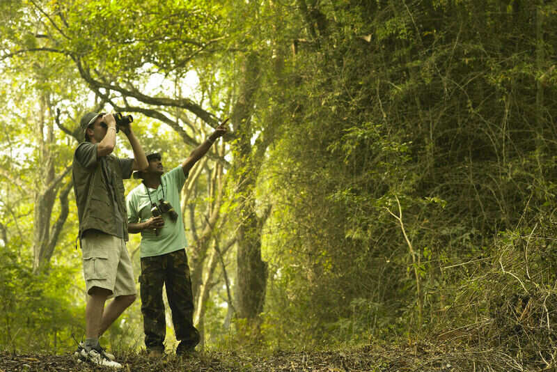 Nature Walk