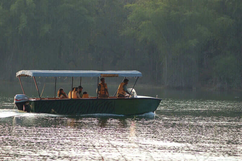 Boat Safari