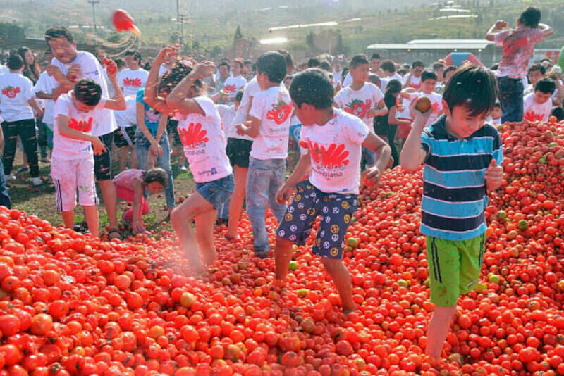 la tomatina