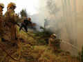 Forest fires ravage Portugal