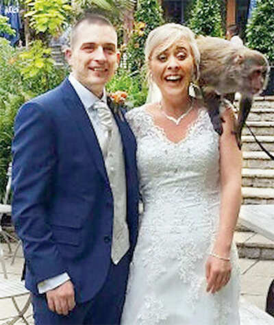 Adorable Monkey Delivers Wedding Rings In Unique Ceremony