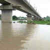 Article image for: Delhi: Yamuna crosses <i class="tbold">danger mark</i>, flood department vigilant