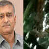 Article image for: Gunmen held for bid on BJP leader <i class="tbold">brijpal teotia</i>'s life