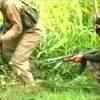 Article image for: 24 hours on, gun fight continues in Baramulla