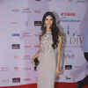 Article image for: Miss Diva 2016: Grand Finale