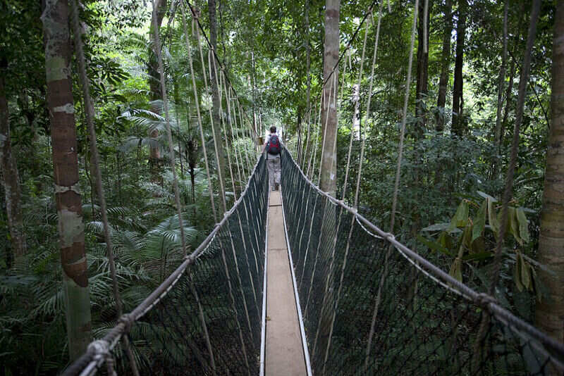 Jungle trekking
