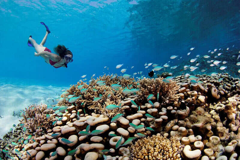 snorkelling maldives