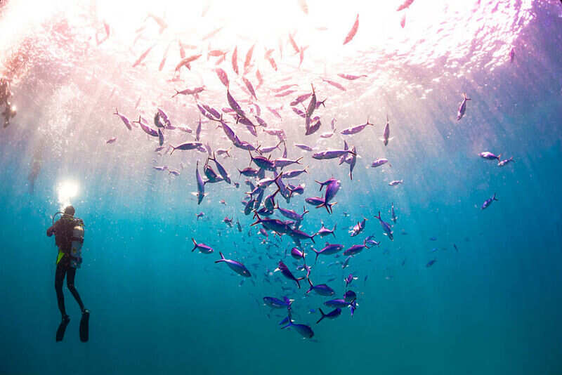 maldives underwater