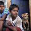 Kaaka Muttai