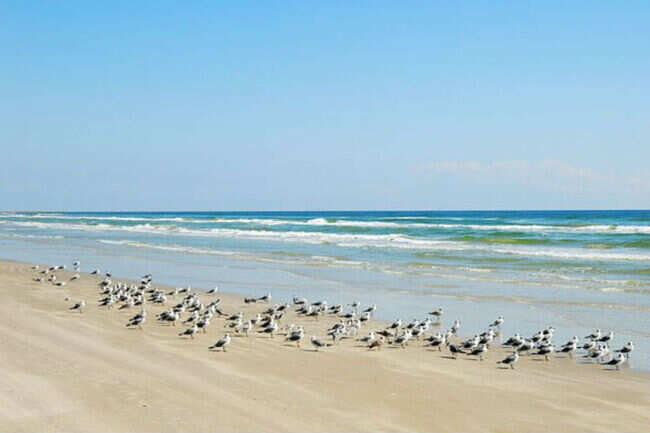 Malaquite Beach Texas Get The Detail Of On Times Malaquite Beach