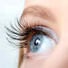 Unravel the language of the eyes