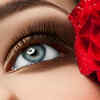 Unravel the language of the eyes