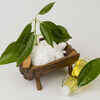Home remedy 1