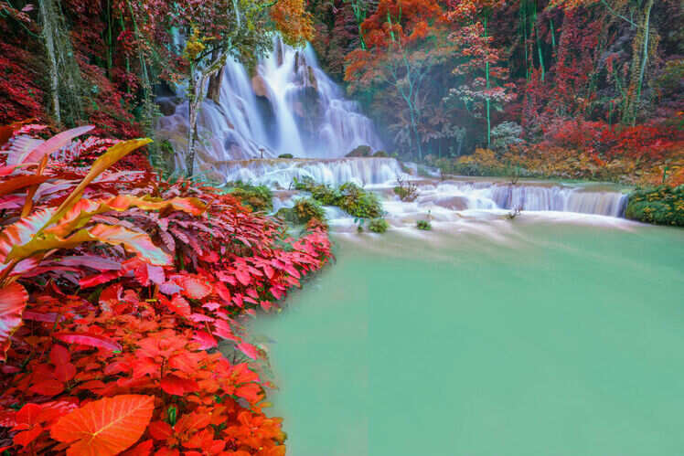 21 things to do in laos top things to do in laos times of india