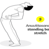 Anuvittasana or Standing Back Stretch