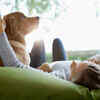 Keep your pet inside