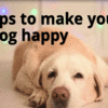 happy as a dog