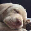 So cute!