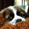 Don't you want to cuddle up?