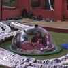 Bigg Boss 10 November 28, episode 43: Manveer choses Priyanka Jagga over Mona
