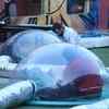 Bigg Boss 10 November 28, episode 43: Manveer choses Priyanka Jagga over Mona
