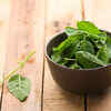 Basil leaves