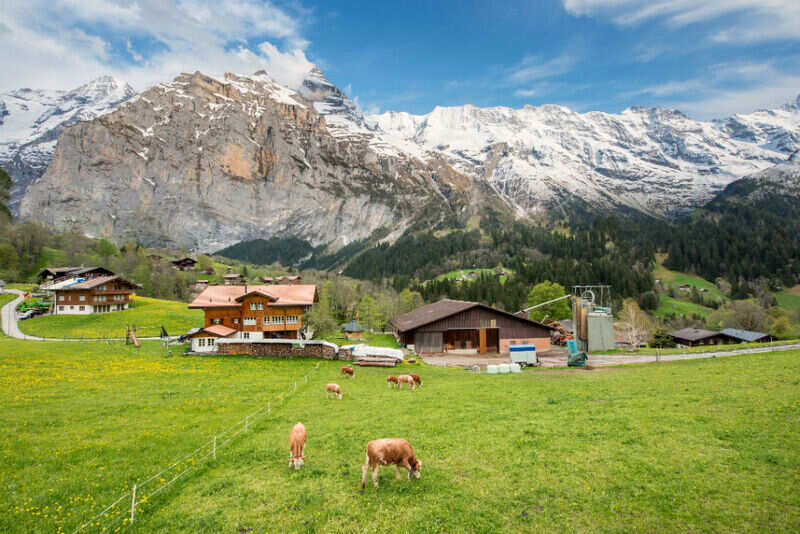 Grindelwald