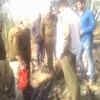 Article image for: Watch: 5 live grenades found in <i class="tbold">jhajjar</i>