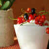 Greek Yogurt with berries