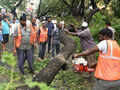 Storm-battered Chennai limps back to normalcy