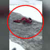 Article image for: On cam: Woman and her dog rescued from icy pond