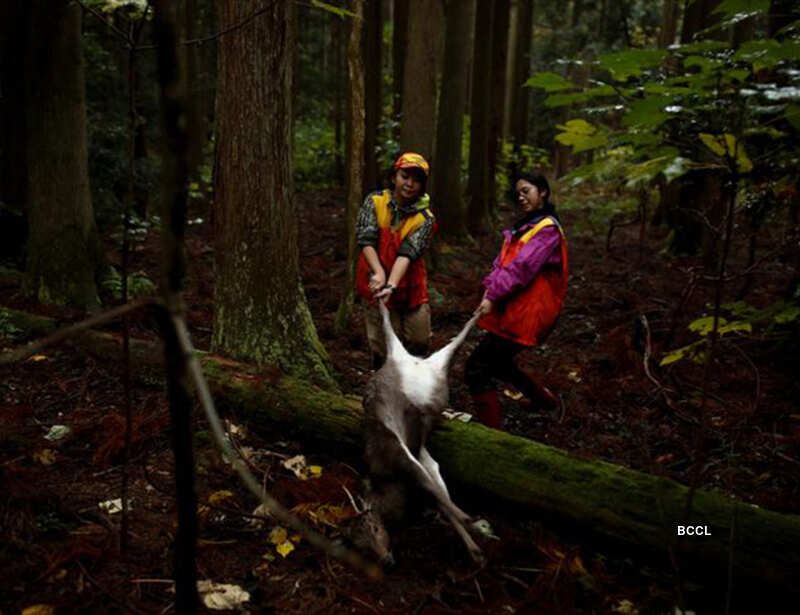 Pictures of the week