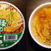 japanese instant food