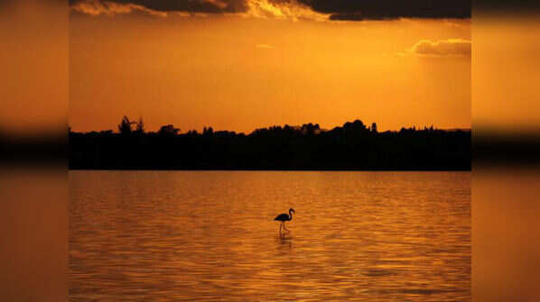 Cyprus