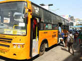 Bus Day