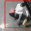 Article image for: Mumbai: Dead body of a boy stuffed in <i class="tbold">suitcase</i> found near railway track