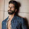 shahid kapoor latest movie