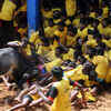 Article image for: Trending photos of <i class="tbold">jallikattu</i> on TOI today